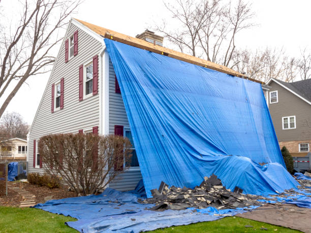Best Wood Siding Installation  in Escanaba, MI
