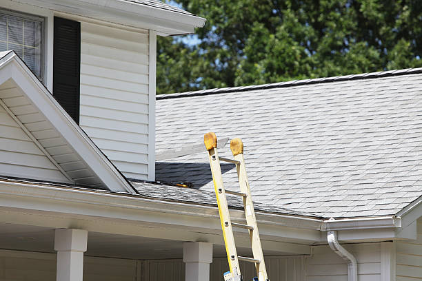 Affordable siding repair and maintenance services in Escanaba, MI